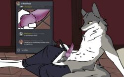 animal formal tagme yellow_eyes