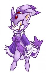 anthro blaze_the_cat breasts cat clothes color feline female female_only fur furry mel_the_hybrid nipples smile solo sonic_(series) sonic_the_hedgehog_(series) standing tagme vulva