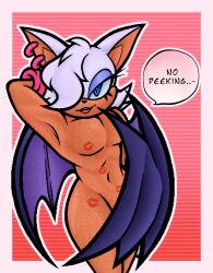 male rouge from sega by jazzwangg