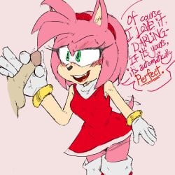 amy rose from sega by ghostspookygoo