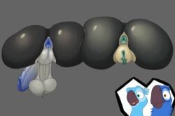 animated anthro anus ass ass_to_ass avian balls beak big_balls big_butt big_penis bird bisexual blu_(rio) blue_anus blue_glans blue_sky_studios butt_squish couples duo erection eva_(rio) female genitals glans glistening glistening_butt green_anus green_vulva hi_res huge_butt jewel_(rio) macaw male neotropical_parrot nude parrot penis presenting presenting_anus puffy_anus rafael_(rio) rio_(series) saggy_balls spix's_macaw squish thelordjoshua1 toucan transition_effect true_parrot vulva