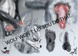 anthro barefoot bowzer_(artist) color fur furry grey_fur handjob male male_only masturbation nude penis solo star_fox wolf wolf_o'donnell