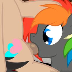 2017 animated blue_eyes cutie_mark equine erection fan_character friendship_is_magic hair horse justis loop male mammal my_little_pony oc:shinodage penis pony sex simple_background tongue wings yaoi