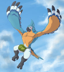 1boy anthro armpit_hair avian beak big_bulge bird body_hair breath_of_the_wild bulge chest_tuft clothed clothing cloud corrsk digital_media_(artwork) feathers flying hi_res kass_(zelda) male male_only nintendo outside pubes rito skimpy sky solo the_legend_of_zelda thong tuft underwear video_games