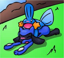 blush color day feral fur hiddenmudkip male mudkip nude outdoors pokemon pokemon_(species) riolu sex tagme
