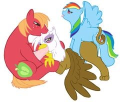 avian big_macintosh_(mlp) bisexual earth_pony equine female friendship_is_magic gilda_(mlp) gryphon horse male my_little_pony pegasus pony rainbow_dash_(mlp) reikitsune smooth_skin