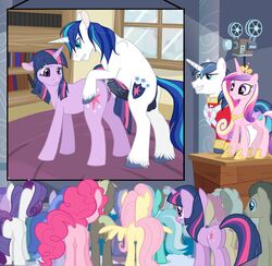 doctor_whooves fluttershy_(mlp) friendship_is_magic klumpeh lyra_heartstrings_(mlp) my_little_pony pinkie_pie_(mlp) princess_cadance_(mlp) rarity_(mlp) shining_armor_(mlp) smooth_skin sunspotty twilight_sparkle_(mlp)