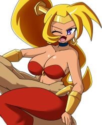 Shantae (Character) Rule 34 Image