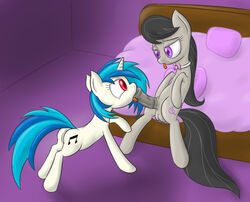 earth_pony equine fellatio female feral friendship_is_magic fur genderswap_(ftm) horse male my_little_pony octavia_melody pony rule_63 straight tagme unicorn vinyl_scratch_(mlp) w300