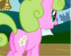 daisy_(mlp) friendship_is_magic my_little_pony tagme