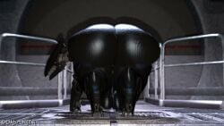 1boys Rule 34 Video