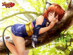 accurate_art_style black_ears black_tail cat_ears catgirl female female_only huniepop kimono momo_(huniepop) red_hair sleep sleeping solo tail yukata