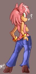 amy_rose color female female_only fur furry hedgehog mel_the_hybrid solo sonic_(series) sonic_team sonic_the_hedgehog_(series)