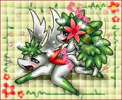 kurobedamu pokemon pokemon_(species) shaymin tagme