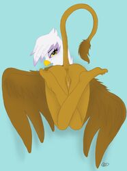 avian female friendship_is_magic gilda gilda_(mlp) gryphon my_little_pony tagme