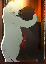 grizzly male_only polar_bear shirokuma_cafe tagme