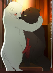 grizzly male_only polar_bear shirokuma_cafe tagme