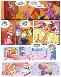blaze_the_cat cream_the_rabbit embarrassed embarrassed_nude_female female furry marine_the_raccoon nude popfulblue rabbit ray_the_flying_squirrel soap_bubbles sonic_(series) sonic_the_hedgehog_(series) vanilla_the_rabbit