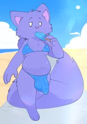 2026 anthro aster_(crushpepper) beach belly big_bulge big_tail bikini blue_clothing blue_swimwear blush bodily_fluids breasts bulge clothing crushpepper detailed_bulge digital_drawing_(artwork) digital_media_(artwork) eating eating_food eyebrows eyelashes fisher_(animal) fluffy fluffy_tail food front_view fur genital_outline gulonine gynomorph gynomorph_anthro half-closed_eyes hi_res ineffective_clothing intersex intersex_anthro long_tail looking_at_viewer mammal mustelid musteline narrowed_eyes nipple_outline nipples_visible_through_clothing penis_outline pigtails pink_nose pinup popsicle popsicle_in_mouth pose public purple_body purple_fur raised_eyebrows saliva simple_eyes slightly_chubby slightly_chubby_gynomorph slightly_chubby_intersex solo standing sweat sweaty_belly swimwear tail two-piece_swimsuit two_piece_bikini walking