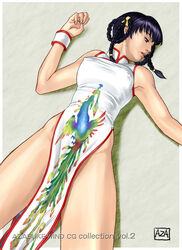 azasuke china_dress chinadress chinese_clothes clothes dead_or_alive female female_only highres human lei_fang qipao solo