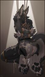 absurd_res anthro balls bdsm big_ears big_tail black_body black_fur black_nose bodily_fluids bondage border bound brown_border butt canid canine cum cum_in_ass cum_inside cum_on_balls cum_on_body cum_on_butt digital_media_(artwork) fluffy_paws fur genital_fluids genitals grey_body grey_fur hi_res horn kazarart lus_(rmmlusitania) male mammal messy nude pawpads paws penis restraints rope rope_bondage rope_harness simple_background solo submissive suspension suspension_bondage tail wide_hips