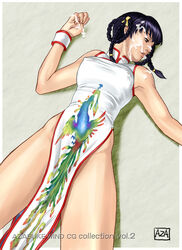 azasuke china_dress chinadress chinese_clothes clothes dead_or_alive female female_only highres human lei_fang qipao solo