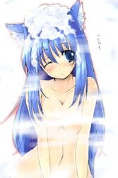 animal_ears artist_request bath blue_eyess blue_hair cat_ears kanon long_hair lowres minase_nayuki nude oekaki solo