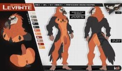 absurd_res accipitrid accipitriform anthro anus ass avian balls beak bearded_vulture bird digital_drawing_(artwork) digital_media_(artwork) feathers foreskin genitals glans hi_res levante_(enlas) male model_sheet muscular muscular_anthro muscular_male navel old_world_vulture penis standing tail vesper_art vulture