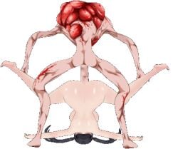 Animated Rule 34 Image