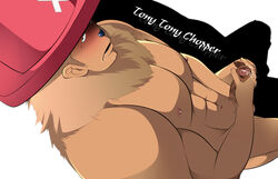 boner erection hat male male_only masturbation nude one_piece penis solo tony_tony_chopper tony_tony_chopper_(heavy_point_form)