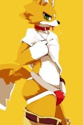 2022 anthro belt black_nose bodily_fluids bottomwear bottomwear_down breath brown_belt bulge canid canine clothed clothing clothing_lift collar countershading dipstick_tail eyebrows fox fur green_eyes hair jockstrap kemono looking_at_viewer male mammal markings moesouna_gomi multicolored_hair narrowed_eyes navel orange_body orange_fur panting pants pants_down partially_clothed red_collar saliva shirt shirt_lift side_view simple_background solo standing sweat tail tail_markings tan_bottomwear tan_clothing tan_pants tongue tongue_out topwear underwear white_body white_clothing white_eyebrows white_fur white_hands white_inner_ear white_paws white_shirt white_topwear wristband yellow_background
