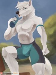 Bottle Rule 34 Image