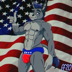 2020 5_fingers abs american_flag anthro asinus biped black_eyebrows black_nipples blue_eyes blue_hair blue_tail_tuft bulge chest_tuft closed_smile clothed clothing detailed_bulge digital_media_(artwork) donkey equid equine eyebrows fabfelipe fingers fur fur_tuft genital_outline gesture grey_body grey_fur grey_inner_ear_fluff hair hand_gesture hi_res inner_ear_fluff male male_only mammal mouth_closed muscular muscular_anthro muscular_male navel nipples pecs penis_outline politics raised_eyebrow smile solo speedo speedo_only swimwear tail tail_tuft thumbs_up topless topless_anthro topless_male tuft united_states_of_america