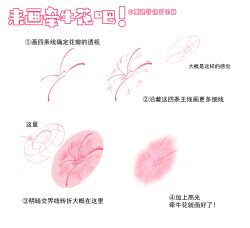 ambiguous_gender anus aoihinoki1024 hi_res how-to simple_background text translation_request white_background zero_pictured