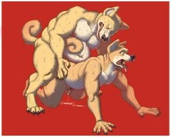 anal anal_sex animal_humanoid anthro anthro_on_anthro anthro_penetrated anthro_penetrating anthro_penetrating_anthro ass big_shiba bodily_fluids brother_(lore) brothers_(lore) canid canine canis cum digital_media_(artwork) domestic_dog duo eddyratt erection facial_piercing foreskin fur genital_fluids genitals glitter_trap_boy hair hi_res humanoid humanoid_genitalia humanoid_penis incest_(lore) little_shibe male male/male male_penetrated male_penetrating male_penetrating_male mammal nipples nose_piercing nude open_mouth penetration penile penis piercing sex shiba_inu sibling_(lore) simple_background spitz tail