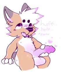2025 ahe_gao anthro ass balls big_penis blush breath canid canine canis colored digital_drawing_(artwork) digital_media_(artwork) domestic_dog english_description english_text erection femboy fur genitals hair heart_(marking) herding_dog hi_res korgs looking_pleasured male mammal markings masturbation nude oapakorgs open_mouth pastoral_dog penile penile_masturbation penis penis_grab piercing pink_blush pink_penis purple_inner_ear purple_penis short_tail simple_background sitting solo tail tan_body tan_fur text welsh_corgi white_body white_fur white_inner_ear