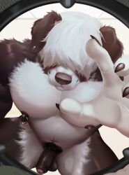 anthro appliance balls black_body black_fur black_nipples black_nose canid canine canis claws domestic_dog ear_piercing finger_claws folded_ears foreskin fur genitals herding_dog humanoid_genitalia kemono laundry_machine male male_only mammal multicolored_body multicolored_fur nipple_piercing nipple_ring nipples nude nude_anthro nude_male obscured_eyes pastoral_dog penis piercing pubes ring_piercing rjay_owo sheepdog solo two_tone_body two_tone_fur uncircumcised washing_machine white_body white_fur