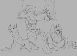 1boy aeriaquies anthro anus ass ass balls fit fit_male furry genitals greyscale hank_howell_(piti_yindee) humanoid male male_only penis precum presenting presenting_hindquarters sketch sketch_page solo uncut wolf