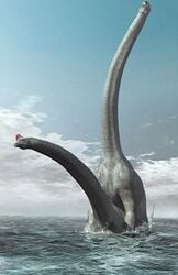 brachiosaurus dinosaur tagme