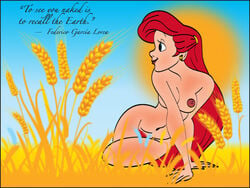 ariel arm_support breasts col_kink day disney female female_only human nipples nude outdoors pale_skin red_hair sky smile solo straight_hair tagme text the_little_mermaid wheat