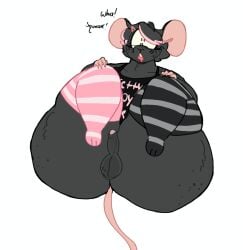 anthro ass avery_(lopsalien) balls big_ass black_fur blush_lines bottomless brown_eyes bubble_butt choker chubby_male clothed dialogue drool fat_ass femboy feminine_male freckles freckles_on_ass freckles_on_face glasses hairclip hard_on kneehighs looking_at_viewer lopsalien male male_only mammal mouse oc on_back open_mouth original_character penis pink_hair plain_background plump shortstack small_penis solo solo_focus solo_male surprised_expression tail thick_thighs wide_hips