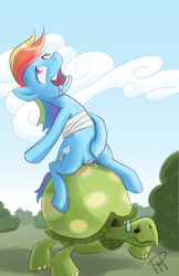 friendship_is_magic my_little_pony ponyhell rainbow_dash_(mlp) smooth_skin tank_the_tortoise