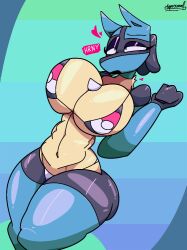 lucario from gamefreak by meperz