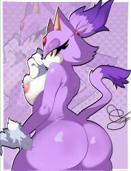blaze the cat from sonic (series) by roycew 303
