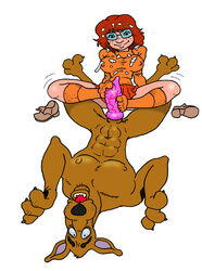 bestiality canine canine_penis dennis_clark female hanna-barbera human human_on_feral interspecies penis scooby-doo scooby-doo_(character) sockjob socks uncensored velma_dinkley zoophilia