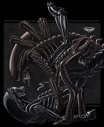 alien male_xenomorph notorious84 tagme xenomorph