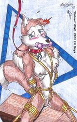 2010 anthro canine colleen dog ek_goya female female_only fur furry mammal road_rovers solo tagme