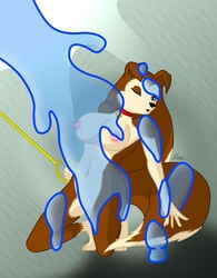 anthro canine colleen dog female female_only fur furry mammal road_rovers solo tagme