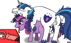 animal animated dsninja equine female friendship_is_magic incest male my_little_pony shining_armor shining_armor_(mlp) straight_hair twilight_sparkle_(mlp) unicorn