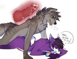 canine fosky fox furry gay husky knot male miru no_humans penis sex wolf